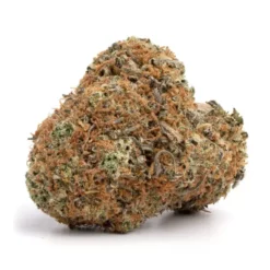 Buy Frostbite Cannabis Strain