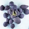 Buy Blueberry Moon Rocks Online 