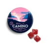 5mg Camino ‘Chill’ Wild Berry Gummies